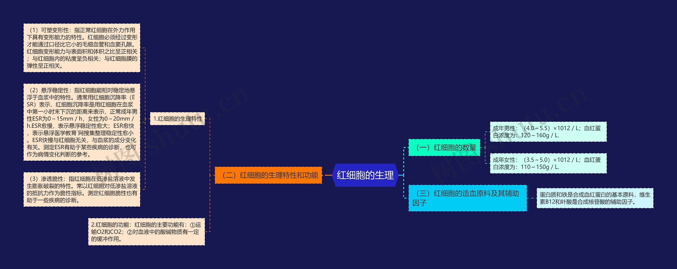 红细胞的生理思维导图