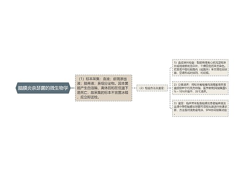 脑膜炎奈瑟菌的微生物学