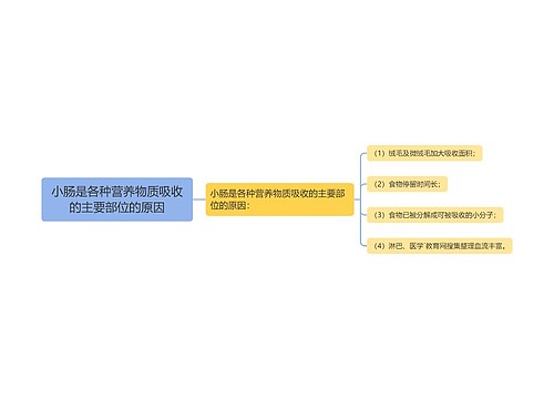 小肠是各种营养物质吸收的主要部位的原因