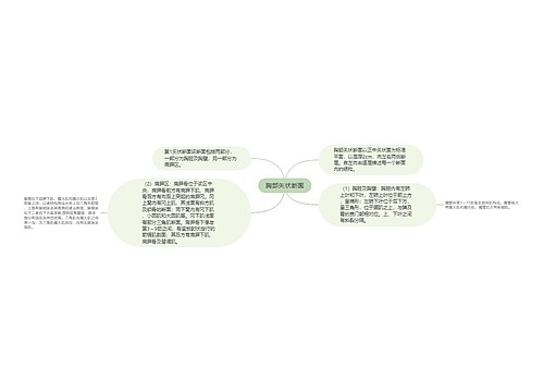 胸部矢状断面