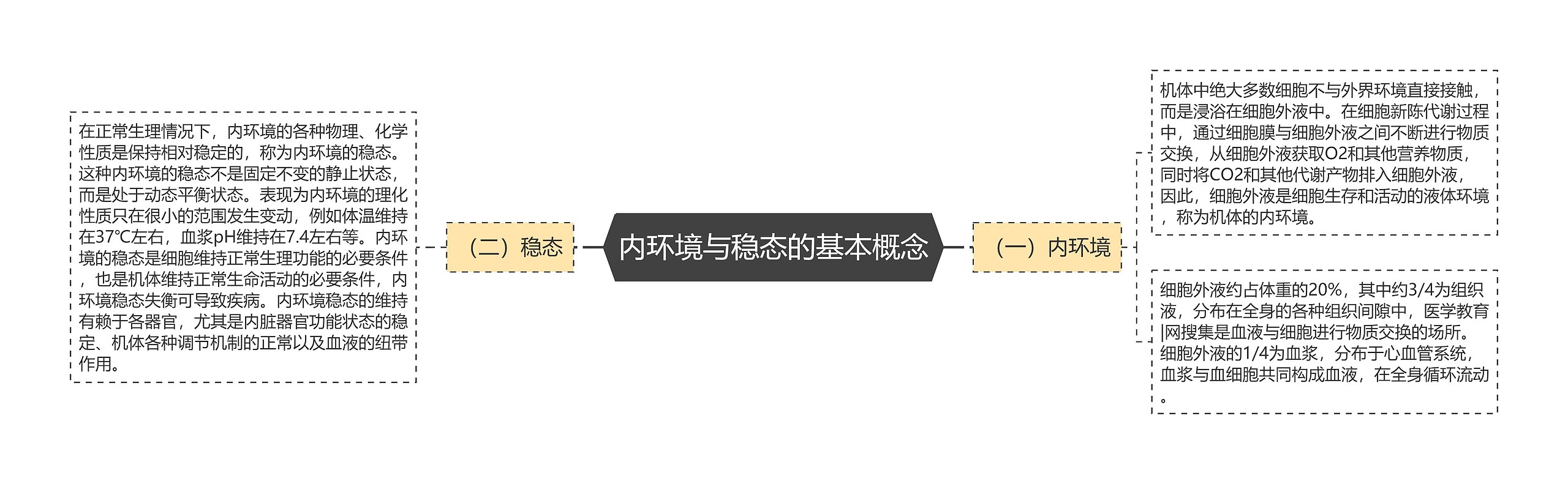 内环境与稳态的基本概念思维导图