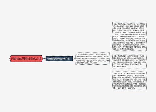 兴奋性的周期性变化介绍