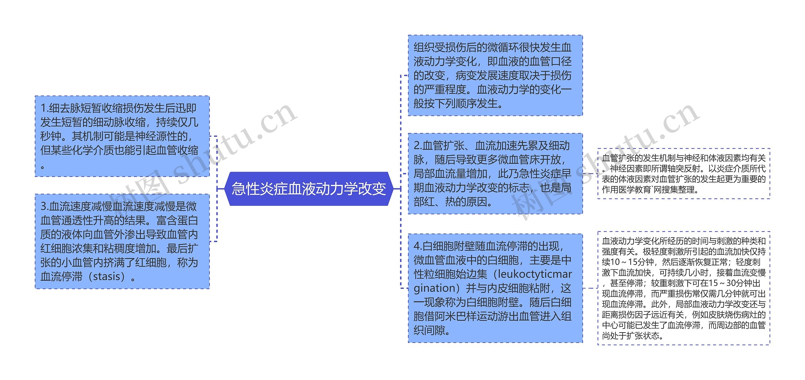 急性炎症血液动力学改变思维导图