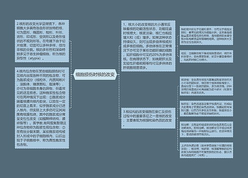 细胞损伤时核的改变