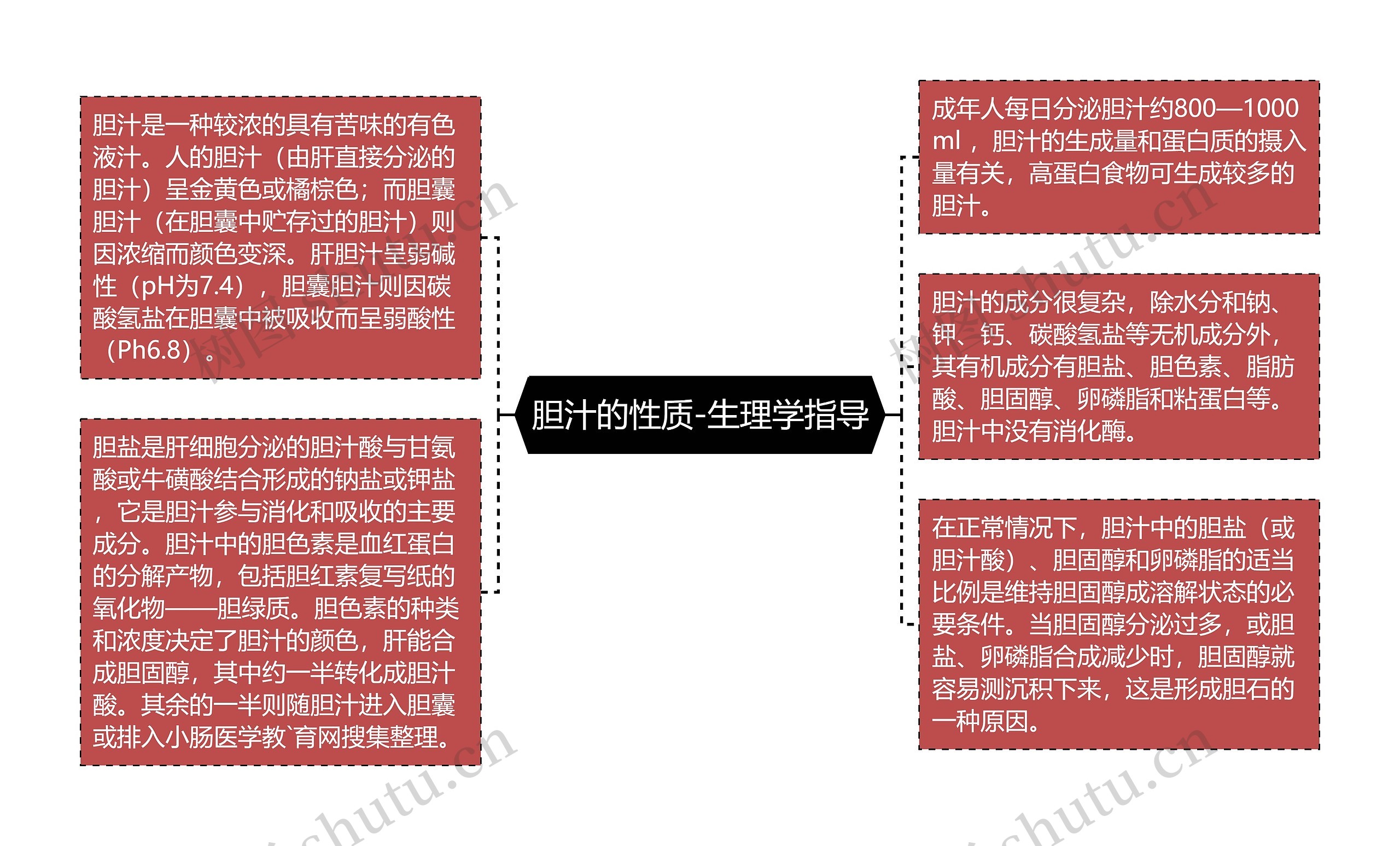 胆汁的性质-生理学指导思维导图