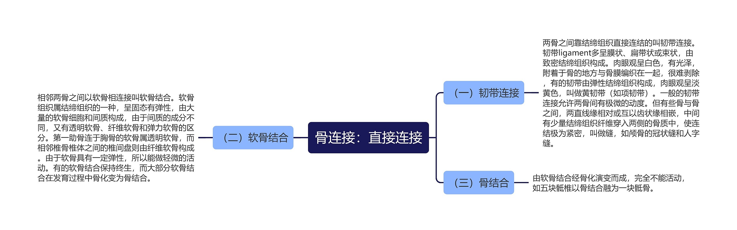 骨连接：直接连接思维导图