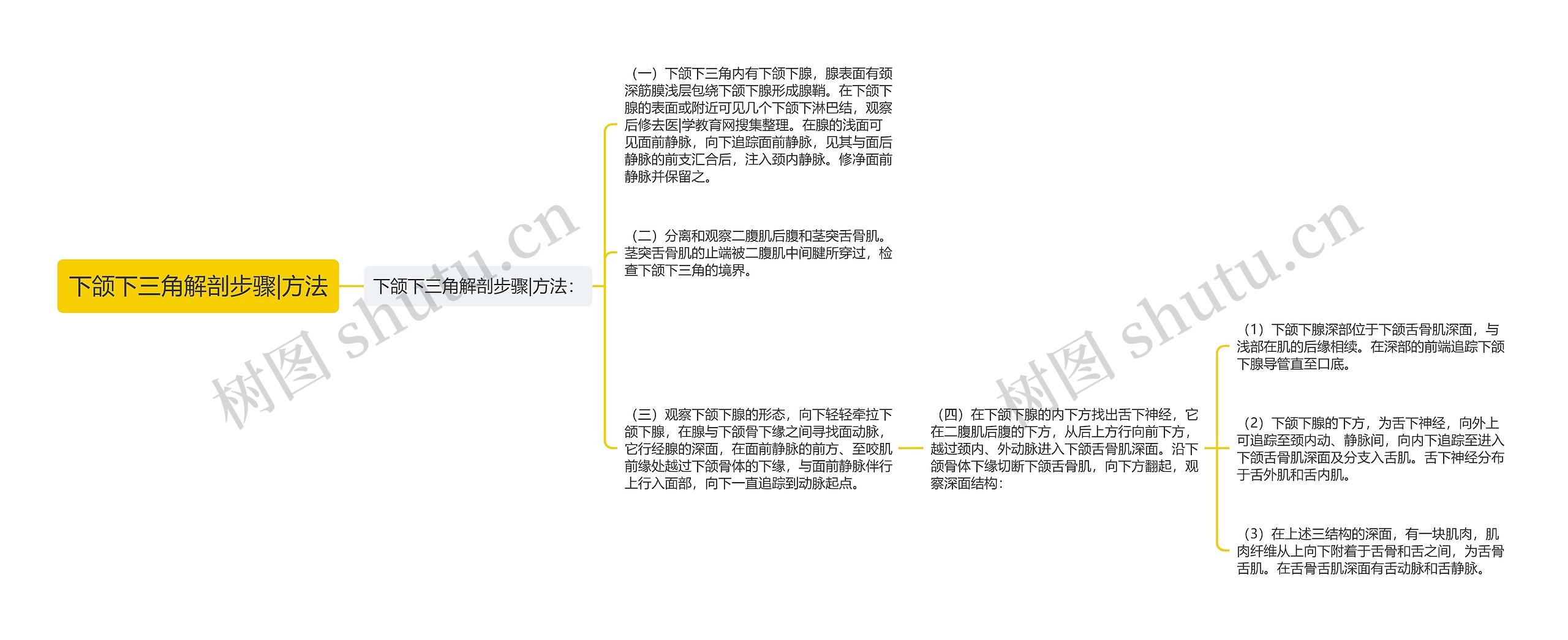 下颌下三角解剖步骤|方法思维导图