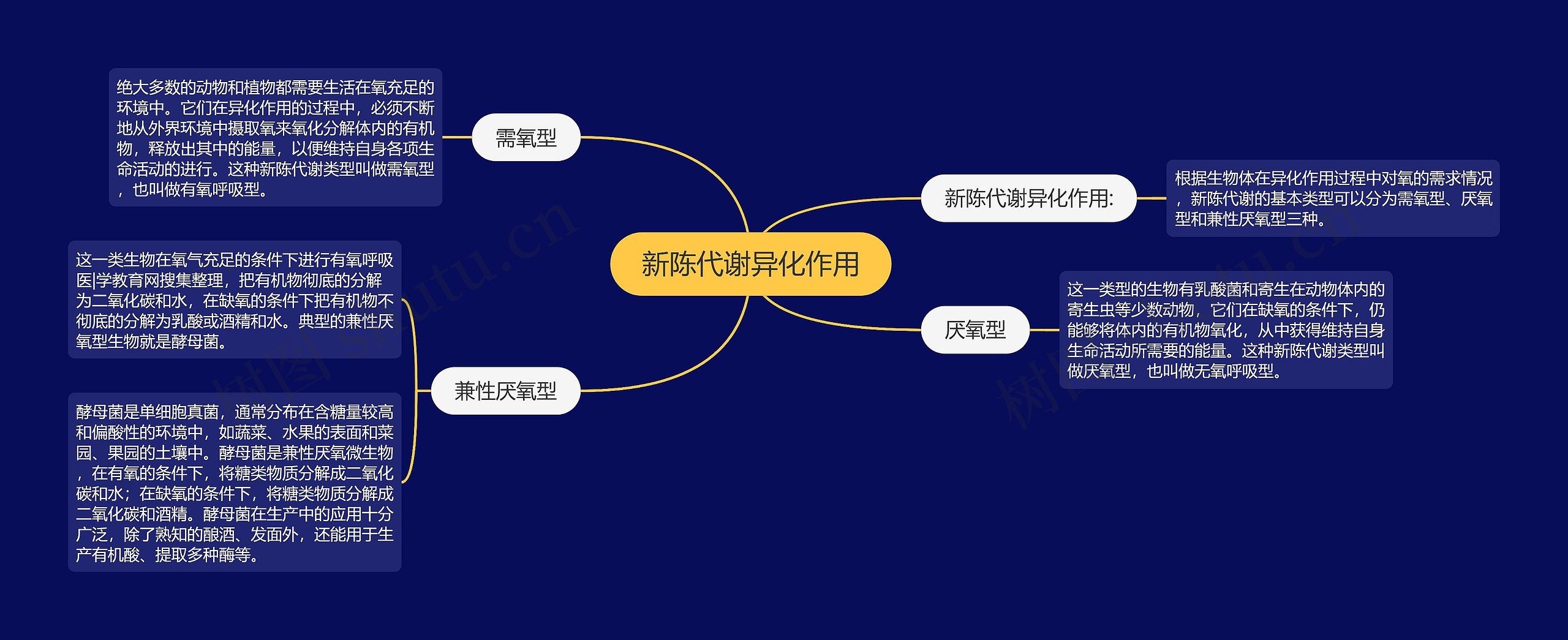 新陈代谢异化作用思维导图