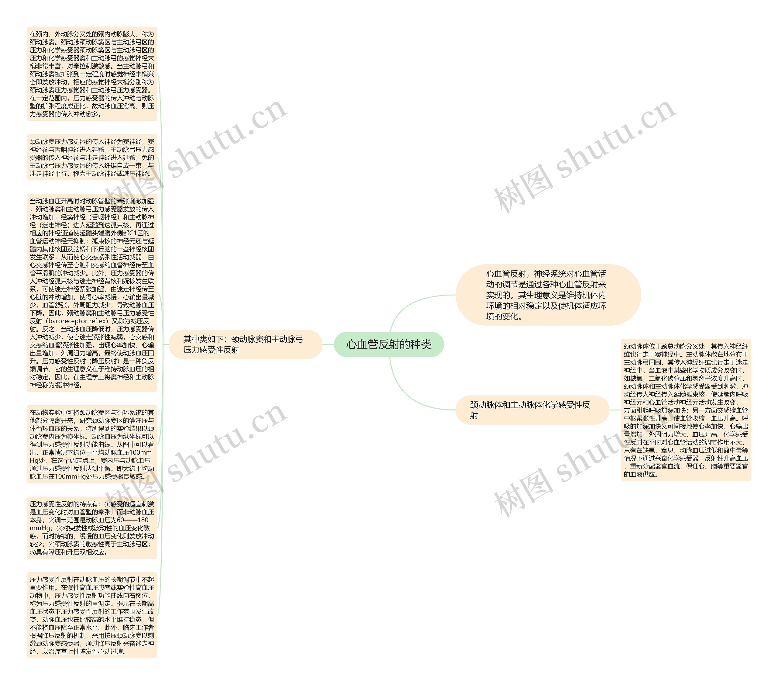 心血管反射的种类思维导图高清图 心血管反射的种类思维导图