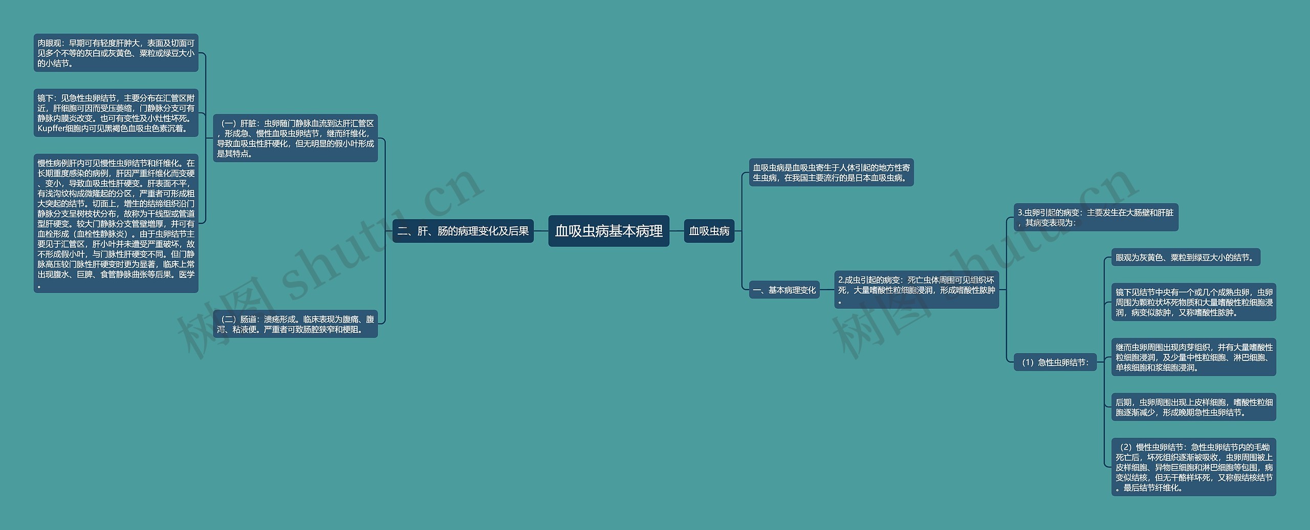 血吸虫病基本病理 血吸虫病基本病理