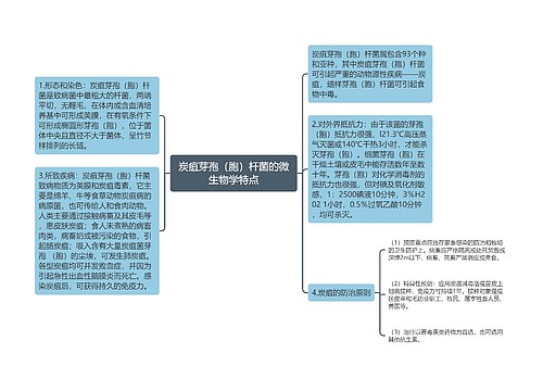 炭疽芽孢（胞）杆菌的微生物学特点