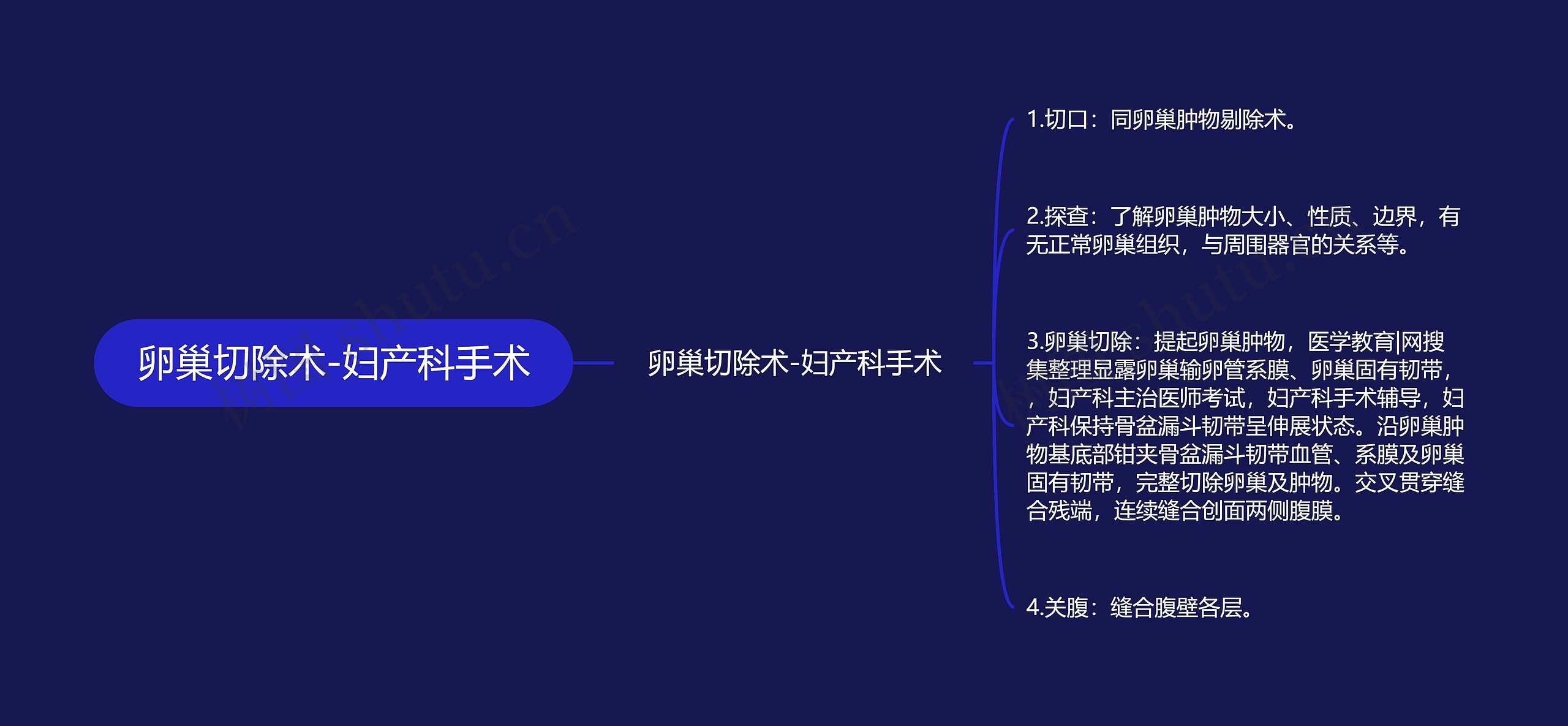 卵巢切除术-妇产科手术思维导图