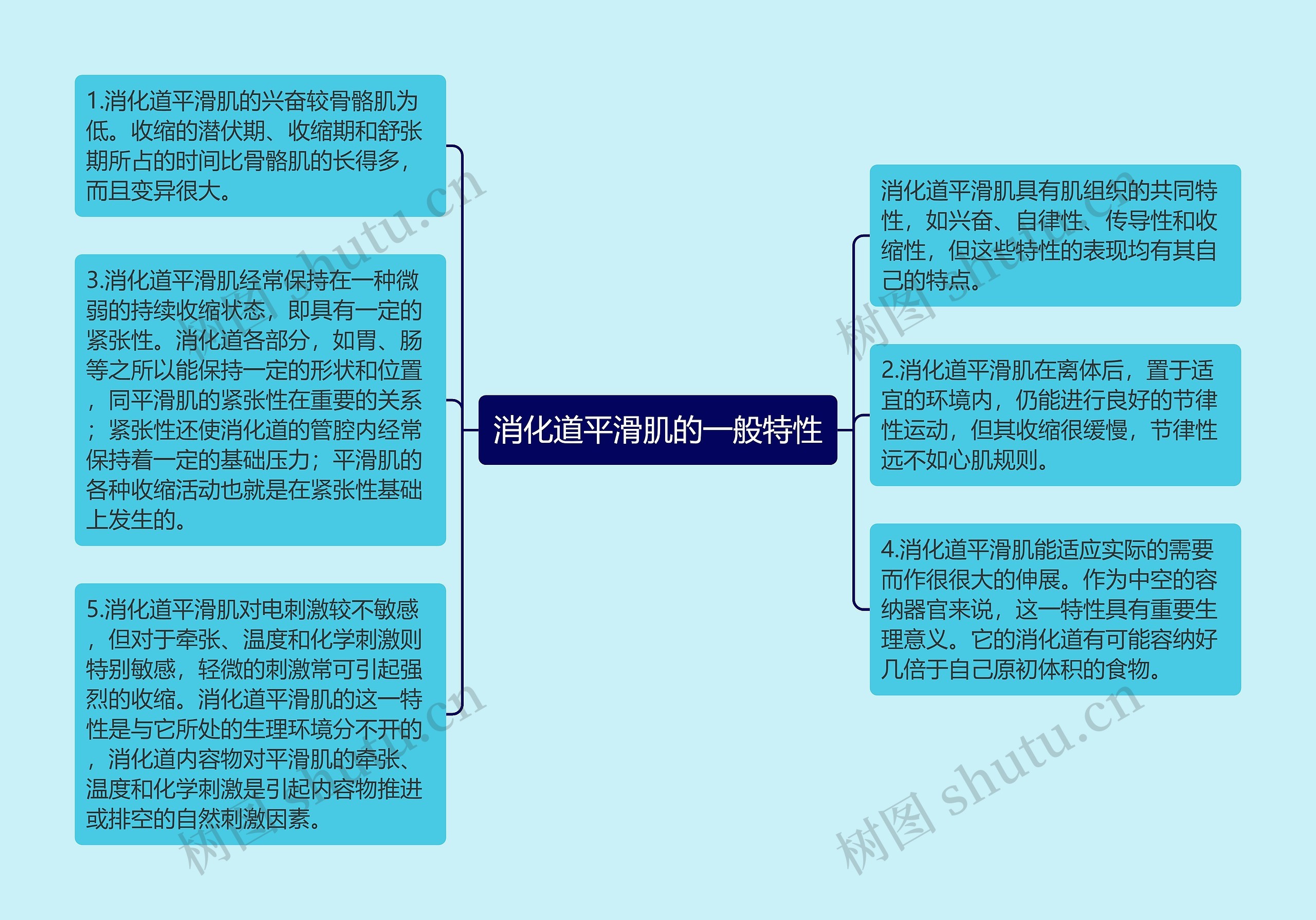 消化道平滑肌的一般特性思维导图