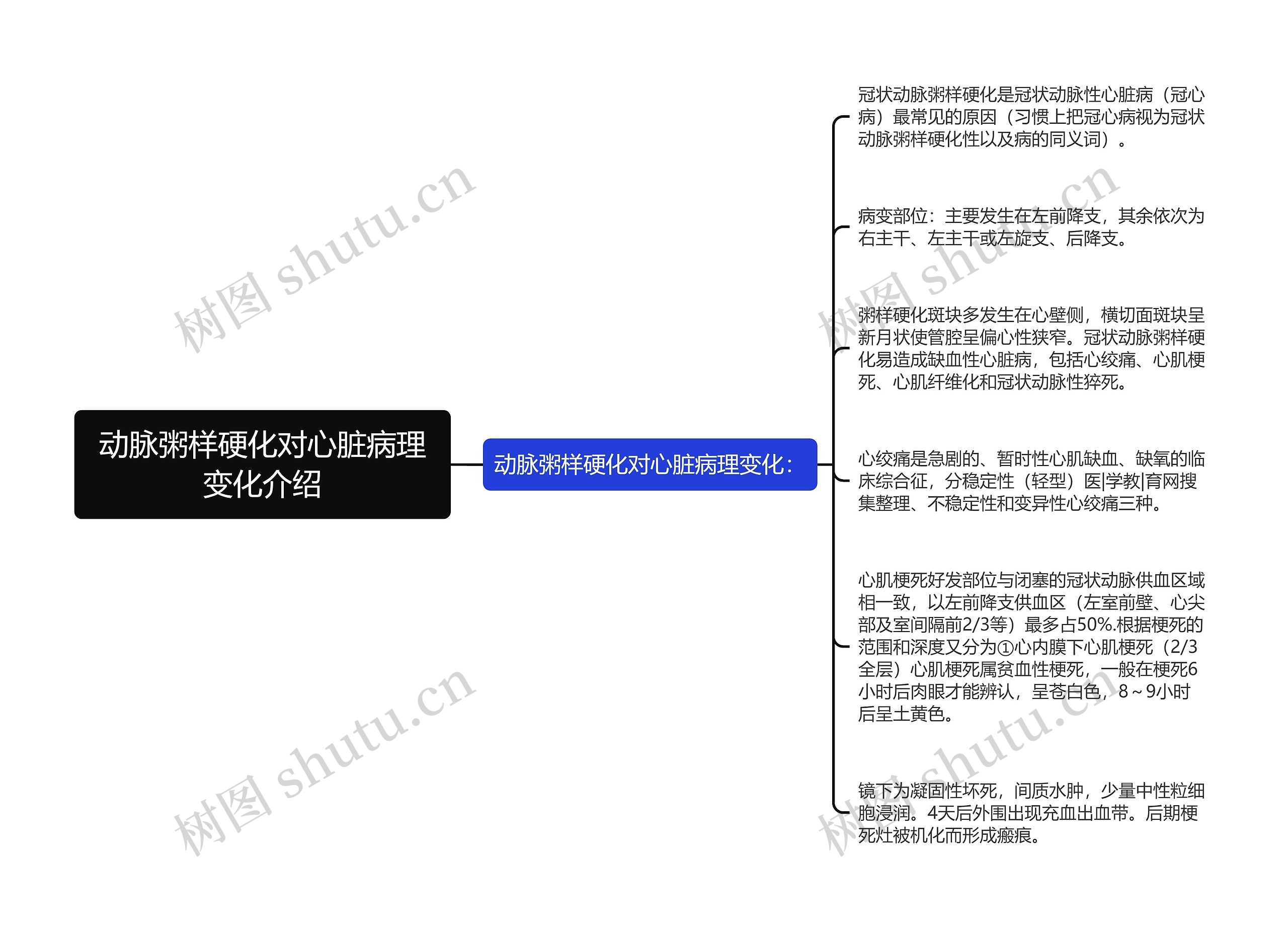 动脉粥样硬化对心脏病理变化介绍思维导图