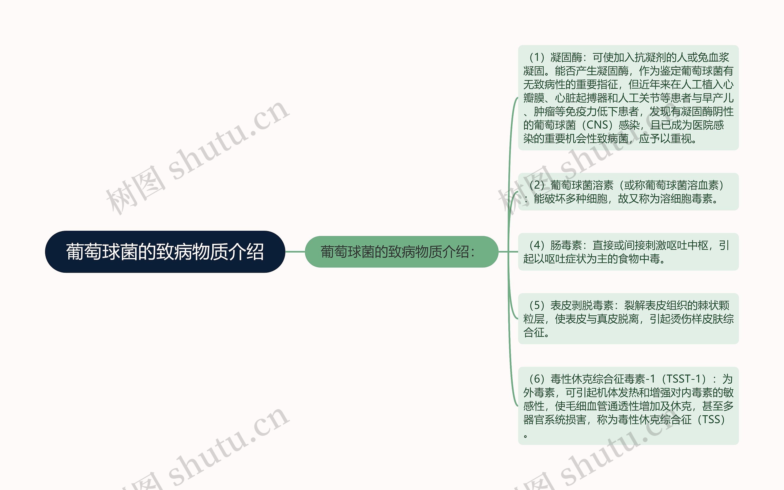 葡萄球菌的致病物质介绍思维导图