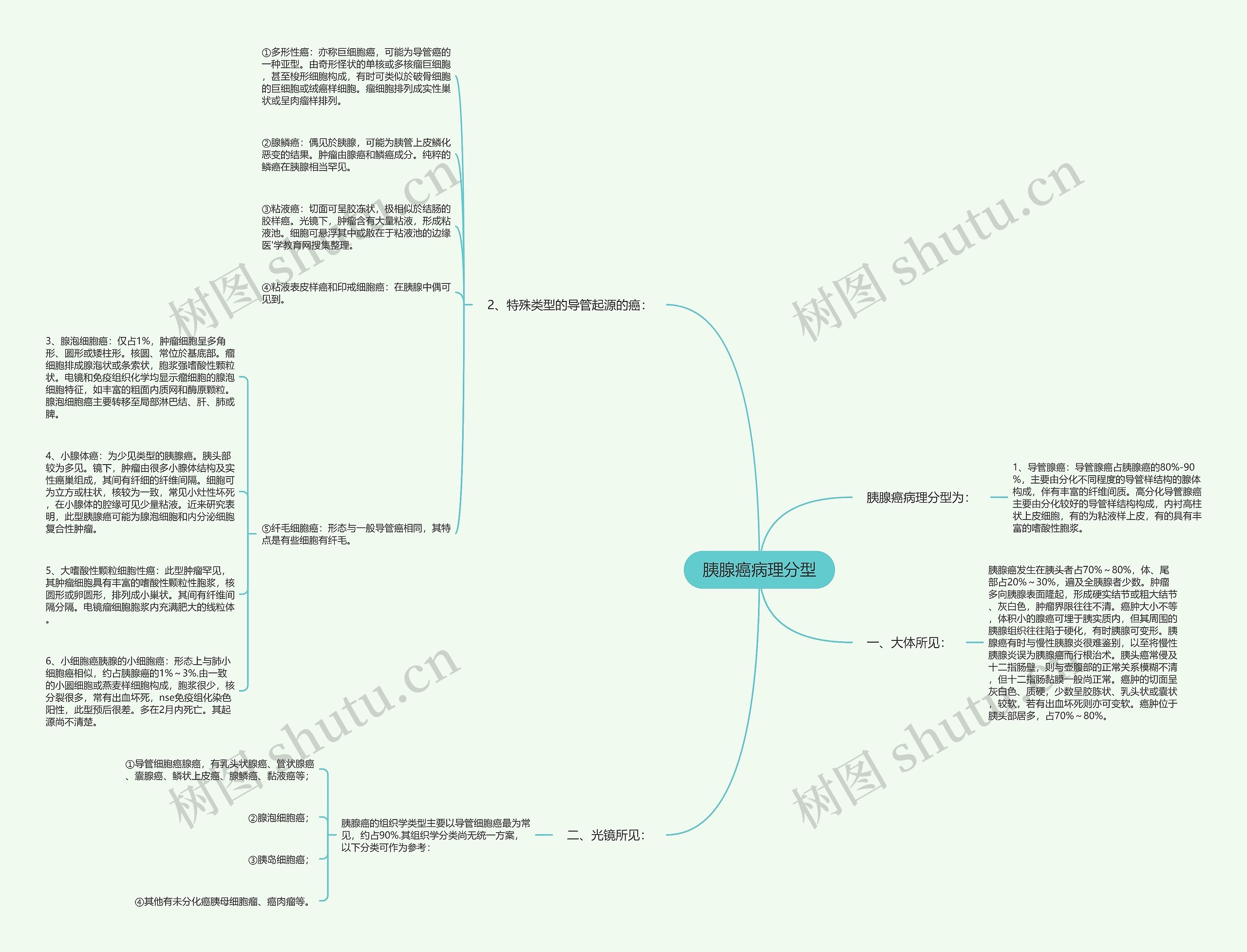胰腺癌病理分型 胰腺癌病理分型