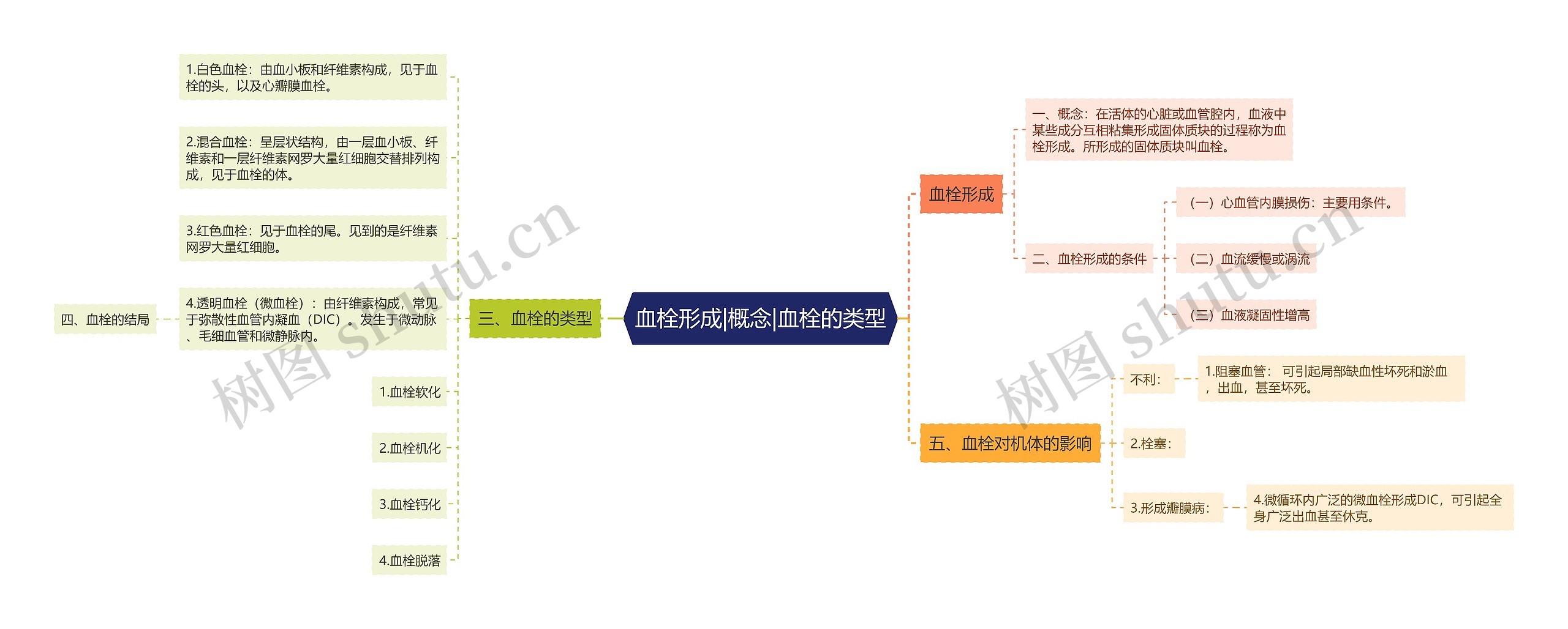 血栓形成|概念|血栓的类型思维导图