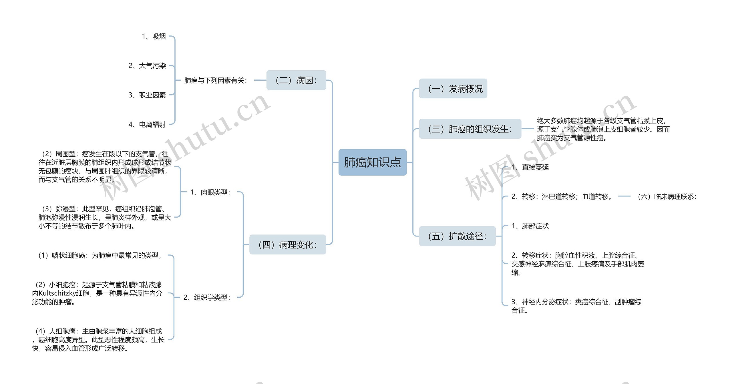 肺癌知识点思维导图