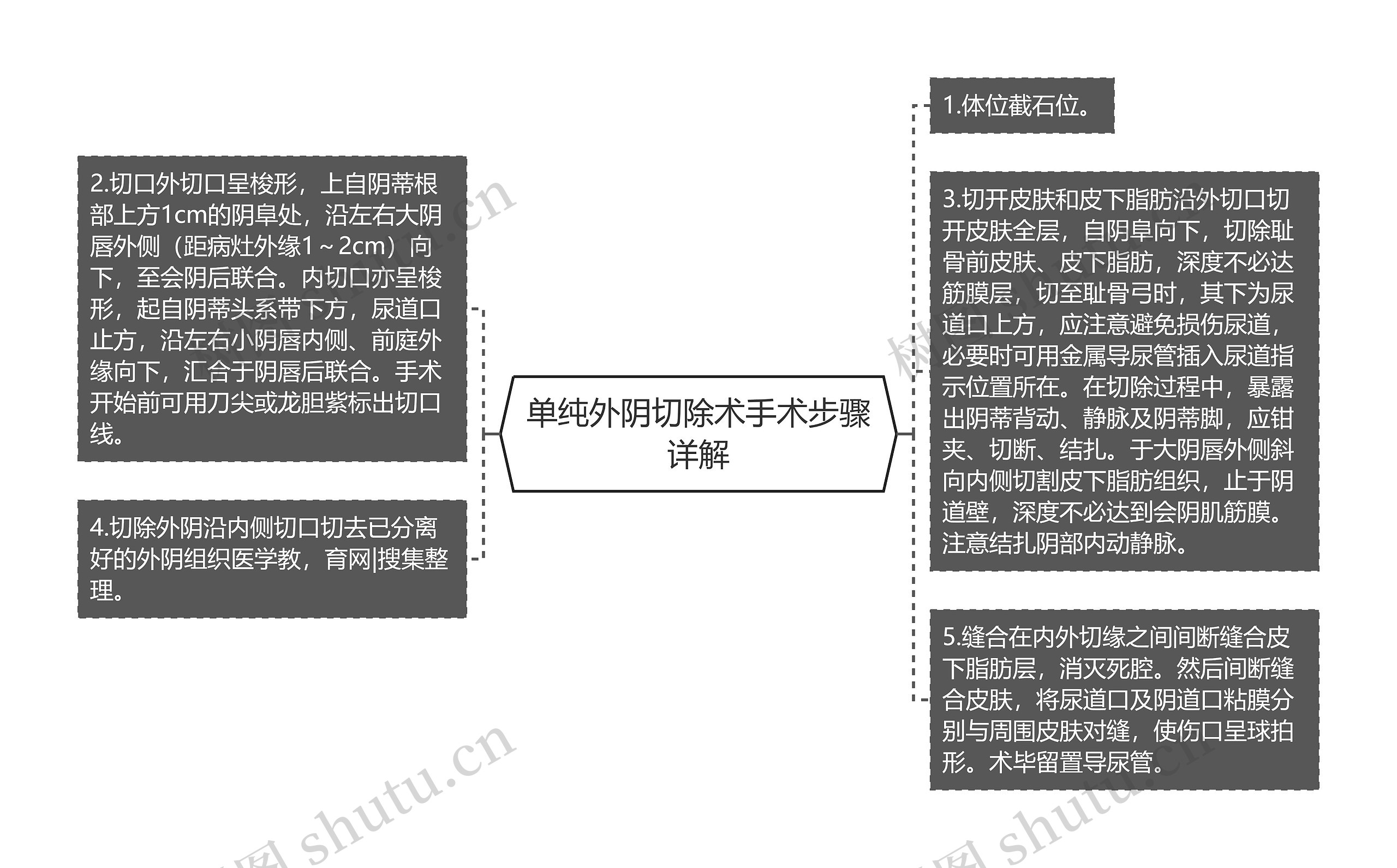 单纯外阴切除术手术步骤详解思维导图