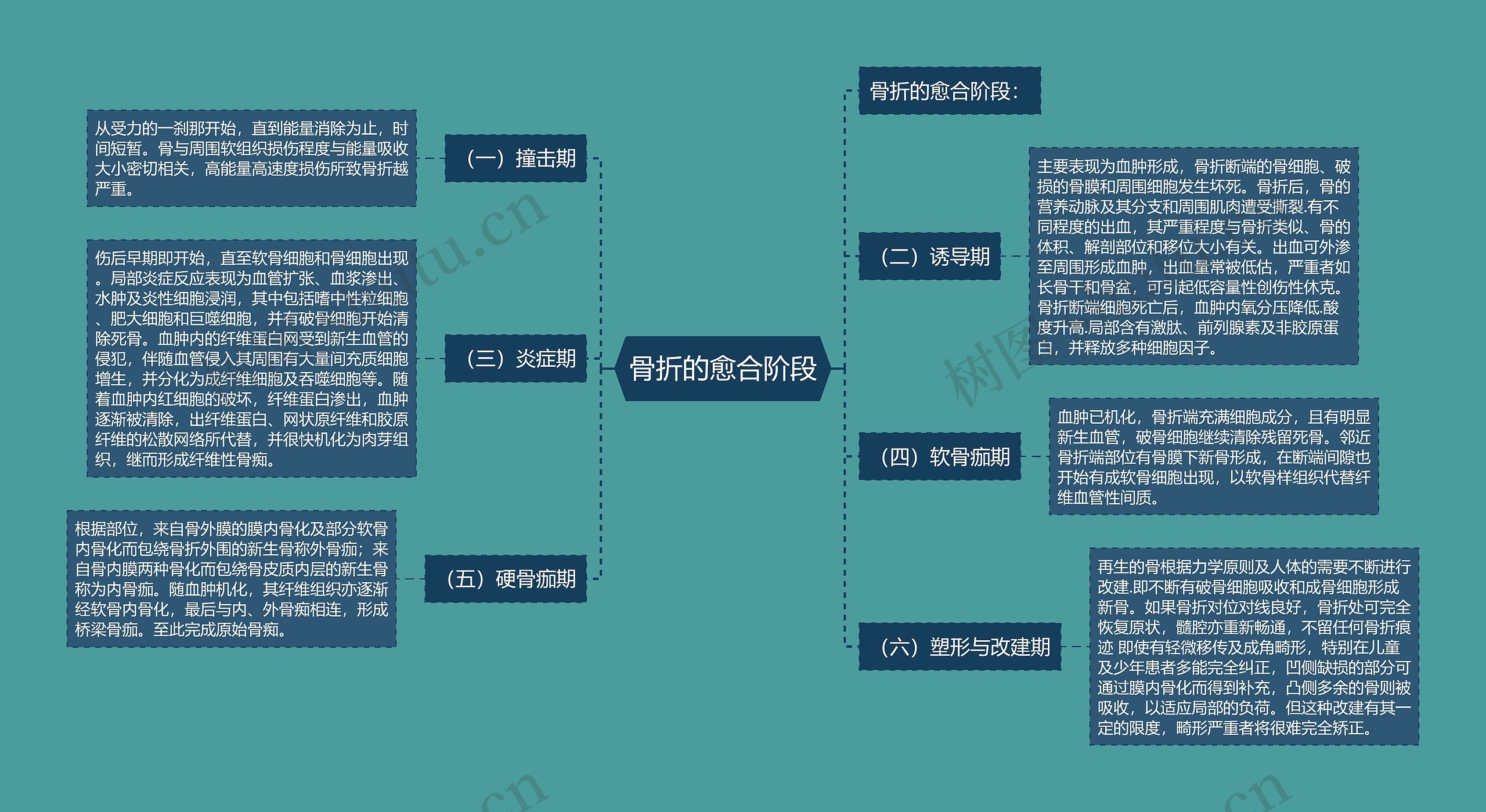 骨折的愈合阶段思维导图