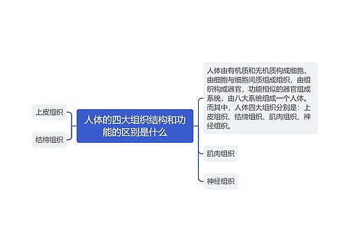 人体的四大组织结构和功能的区别是什么