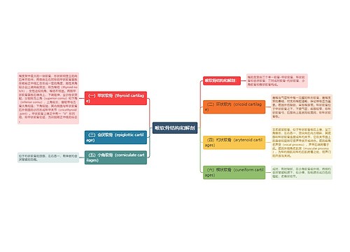 喉软骨结构和解剖