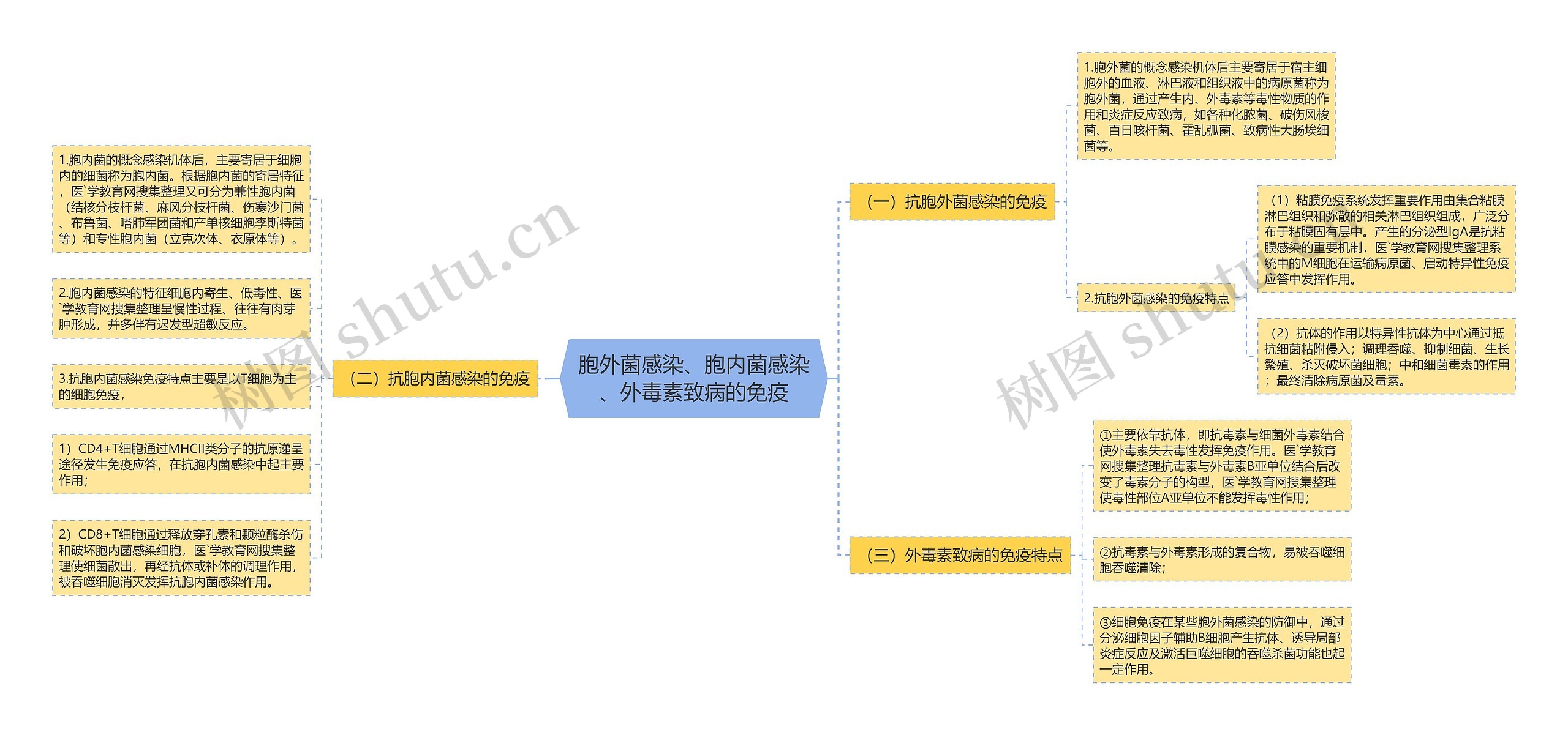 胞外菌感染、胞内菌感染、外毒素致病的免疫