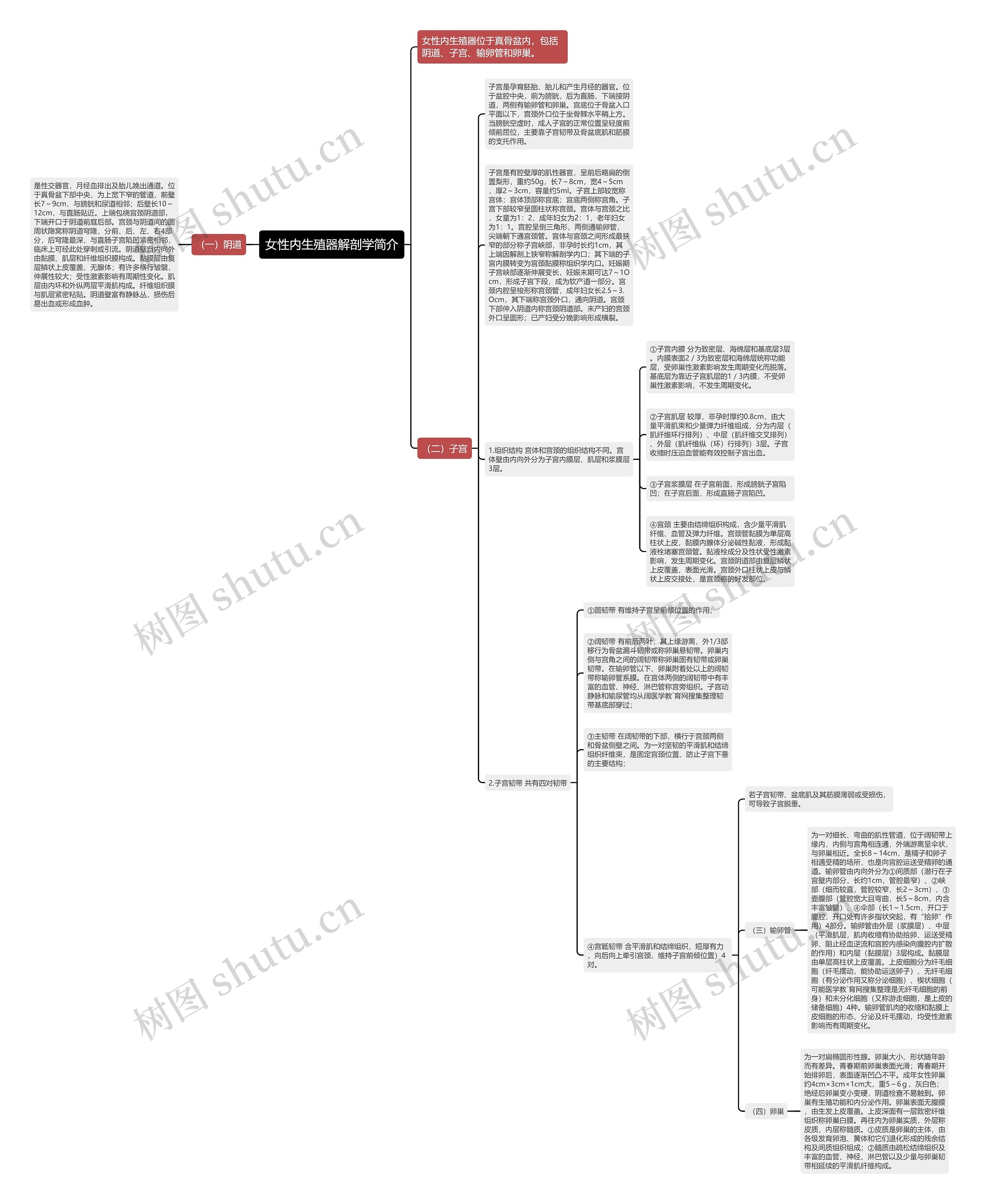 女性内生殖器解剖学简介 女性内生殖器解剖学简介