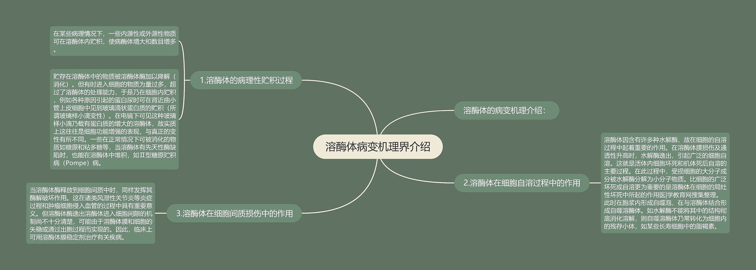 溶酶体病变机理界介绍