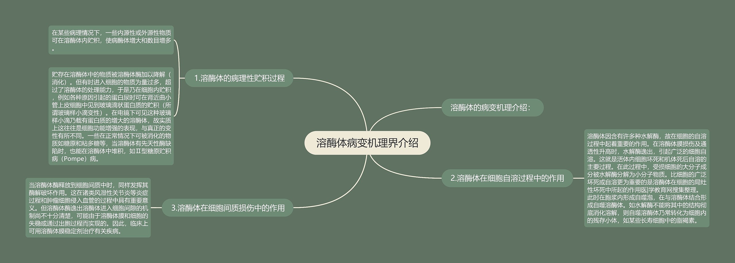 溶酶体病变机理界介绍思维导图