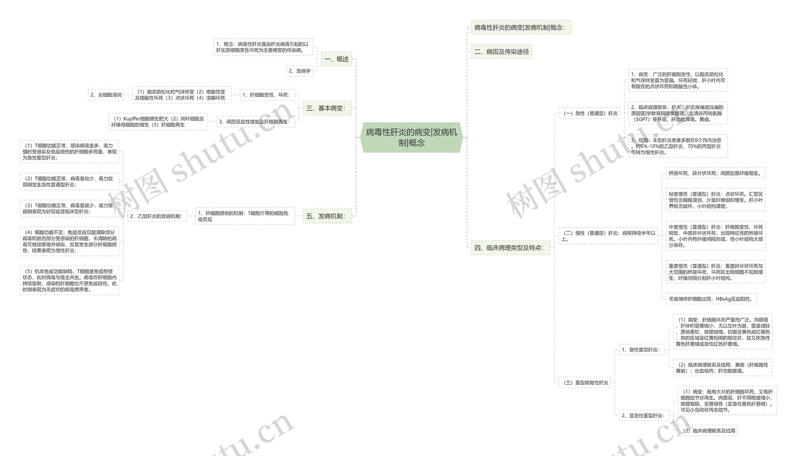 病毒性肝炎的病变|发病机制|概念思维导图