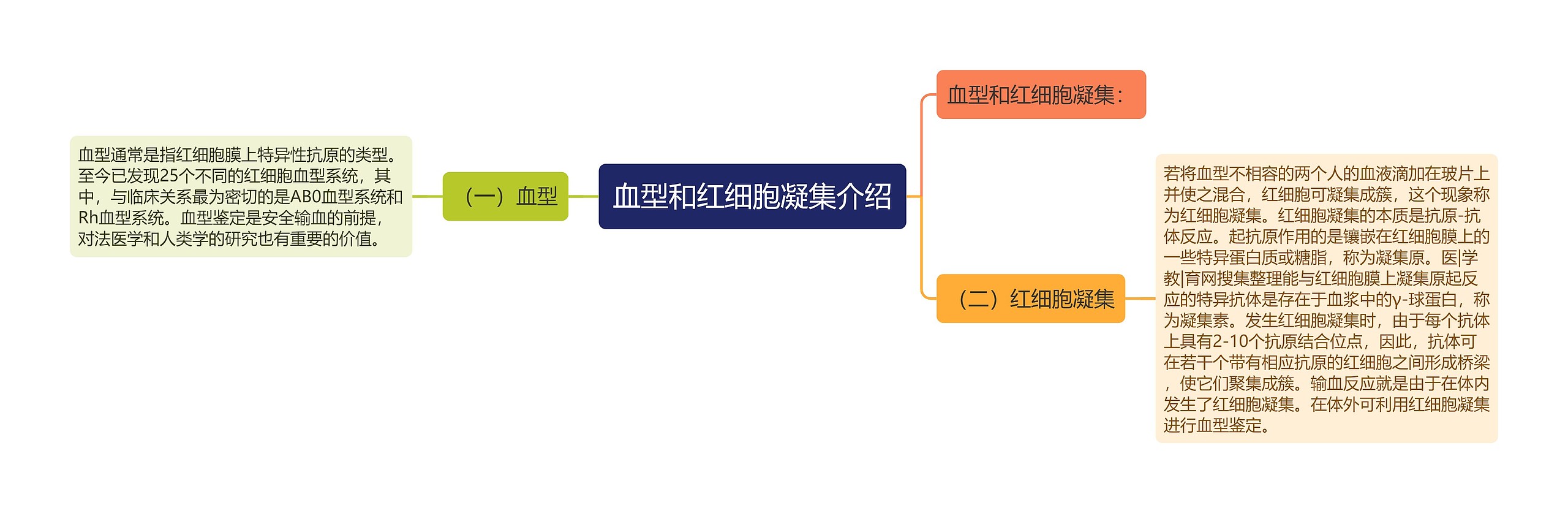 血型和红细胞凝集介绍