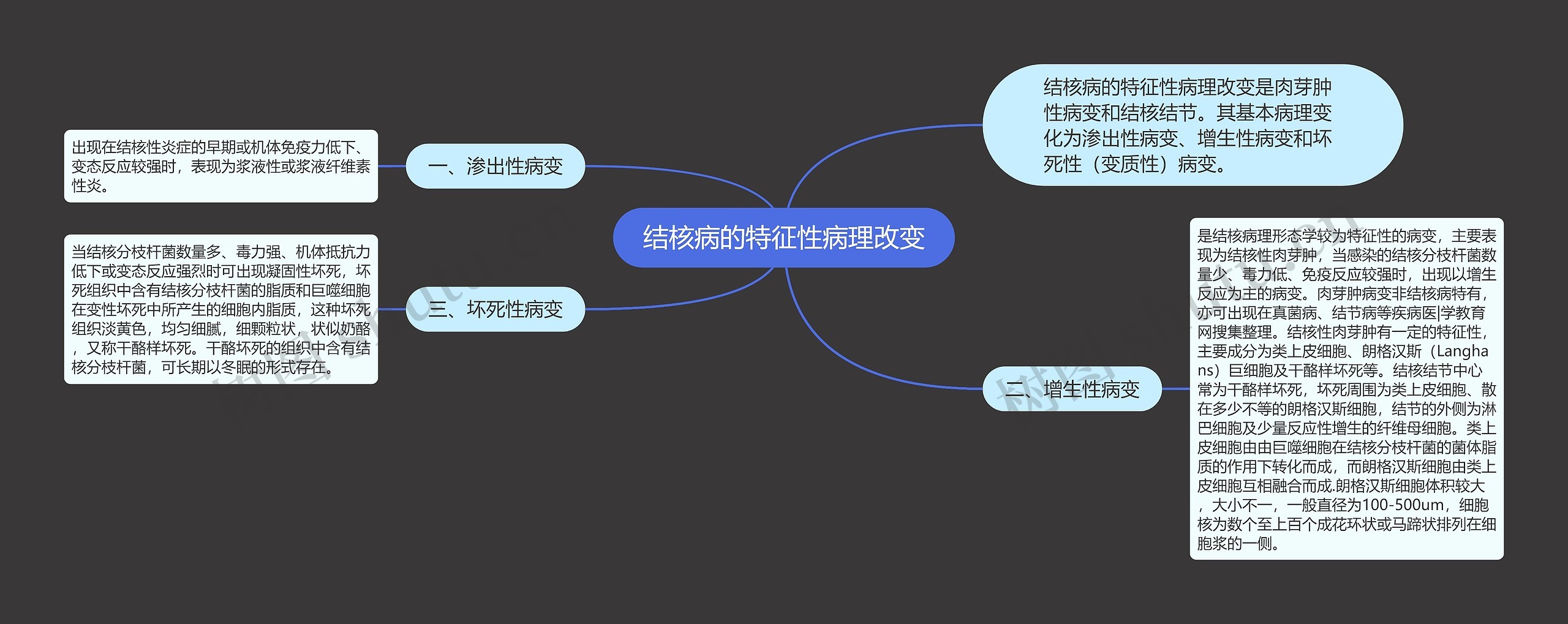 结核病的特征性病理改变 结核病的特征性病理改变
