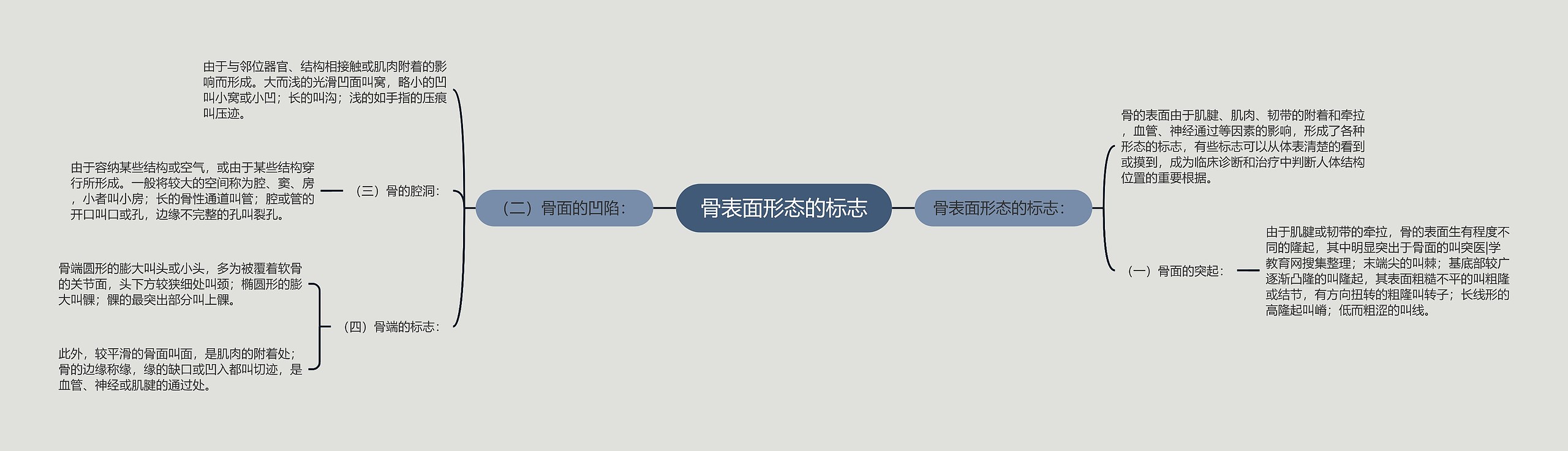 骨表面形态的标志