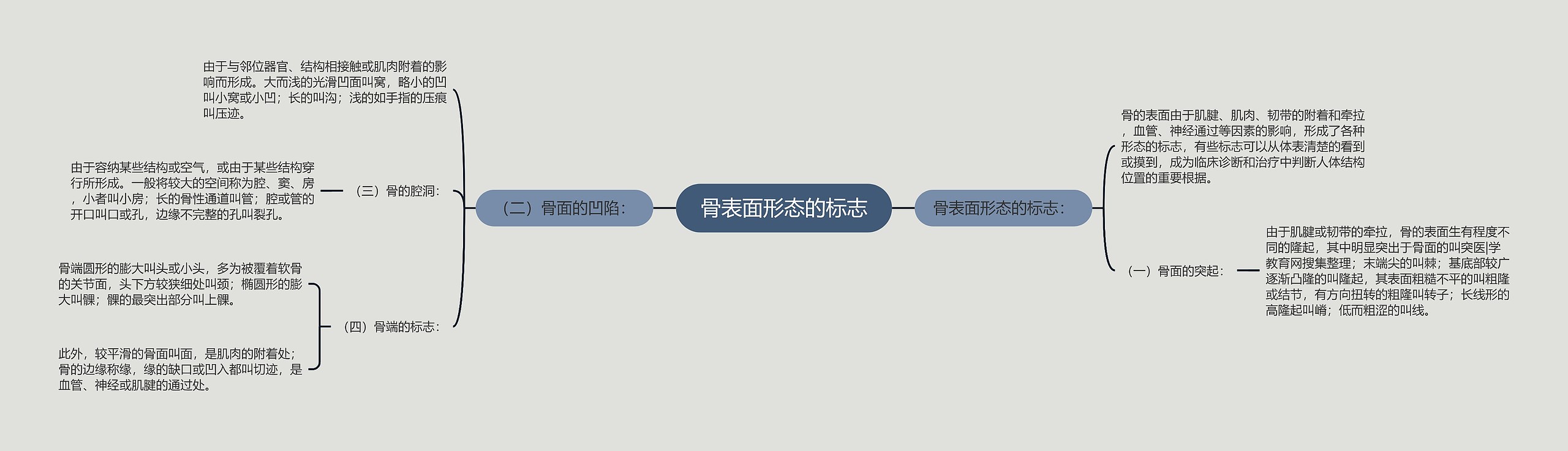 骨表面形态的标志思维导图