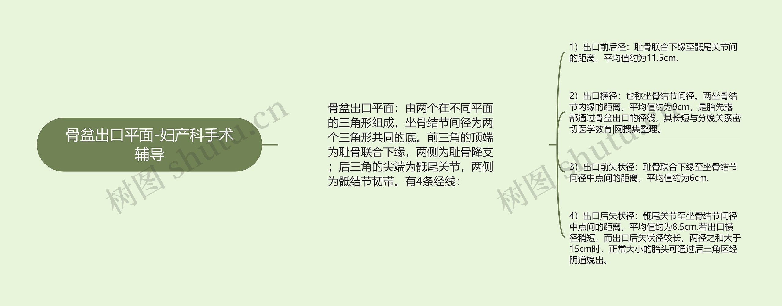 骨盆出口平面-妇产科手术辅导 骨盆出口平面-妇产科手术辅导