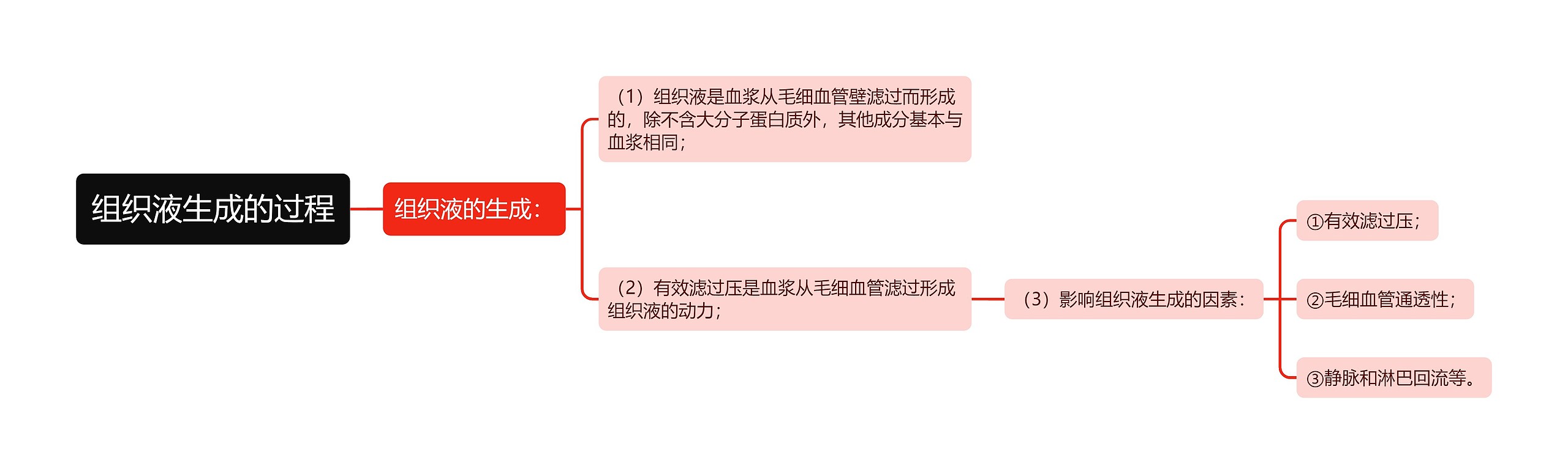 组织液生成的过程思维导图