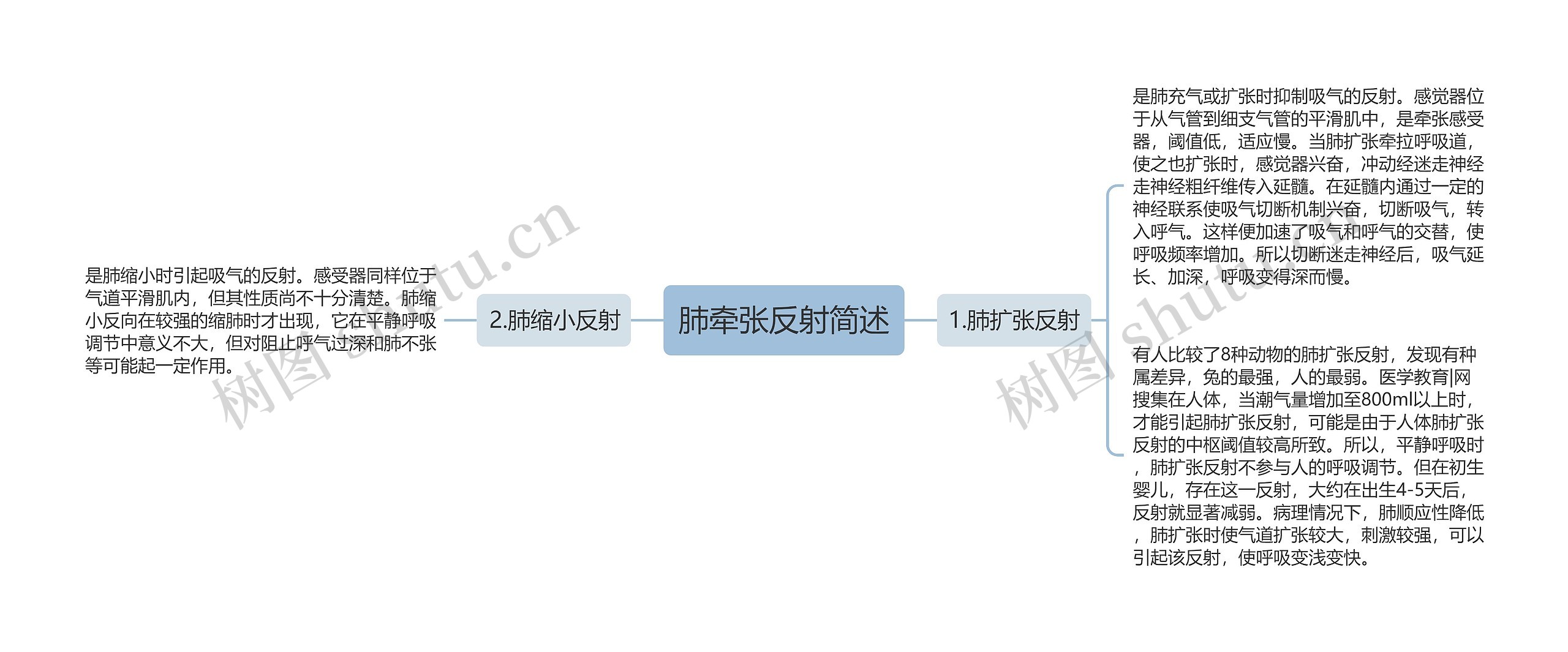 肺牵张反射简述思维导图