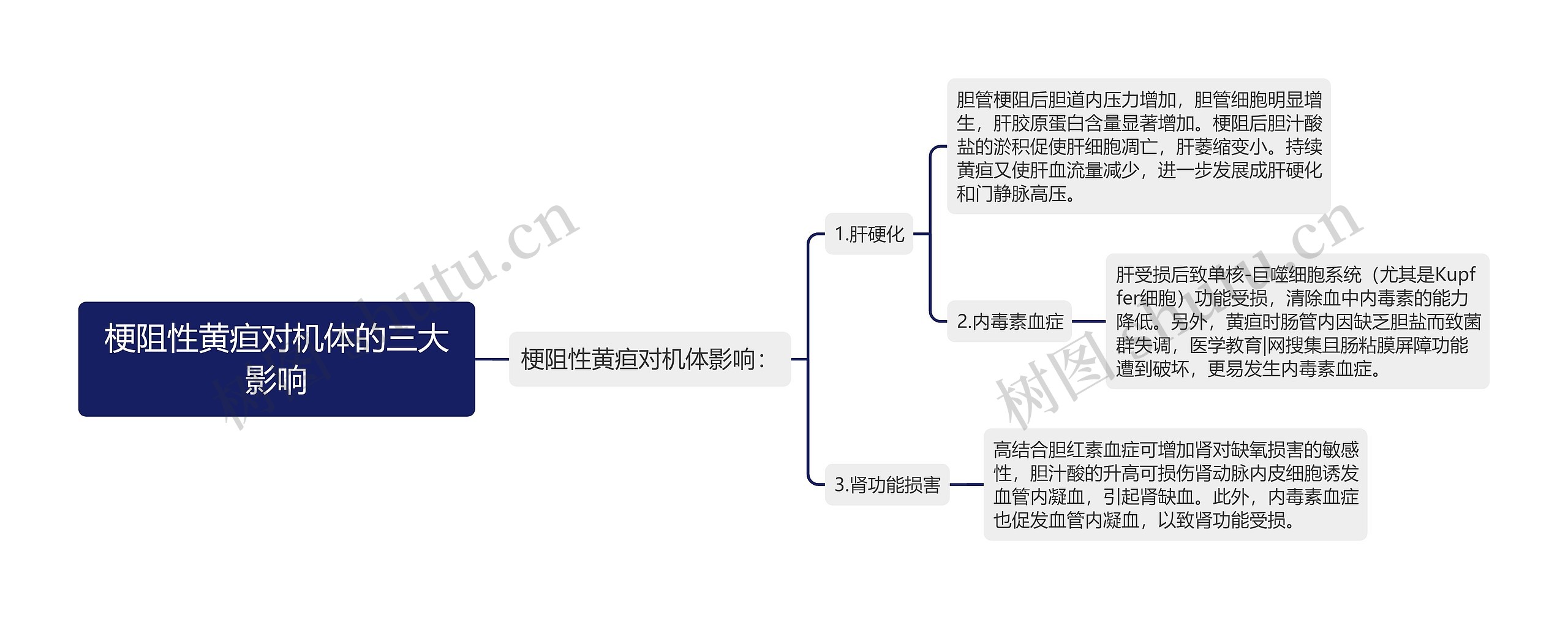 梗阻性黄疸对机体的三大影响思维导图