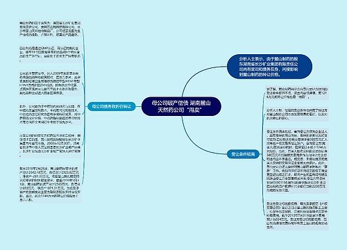 母公司破产偿债 湖南麓山天然药公司“甩卖”