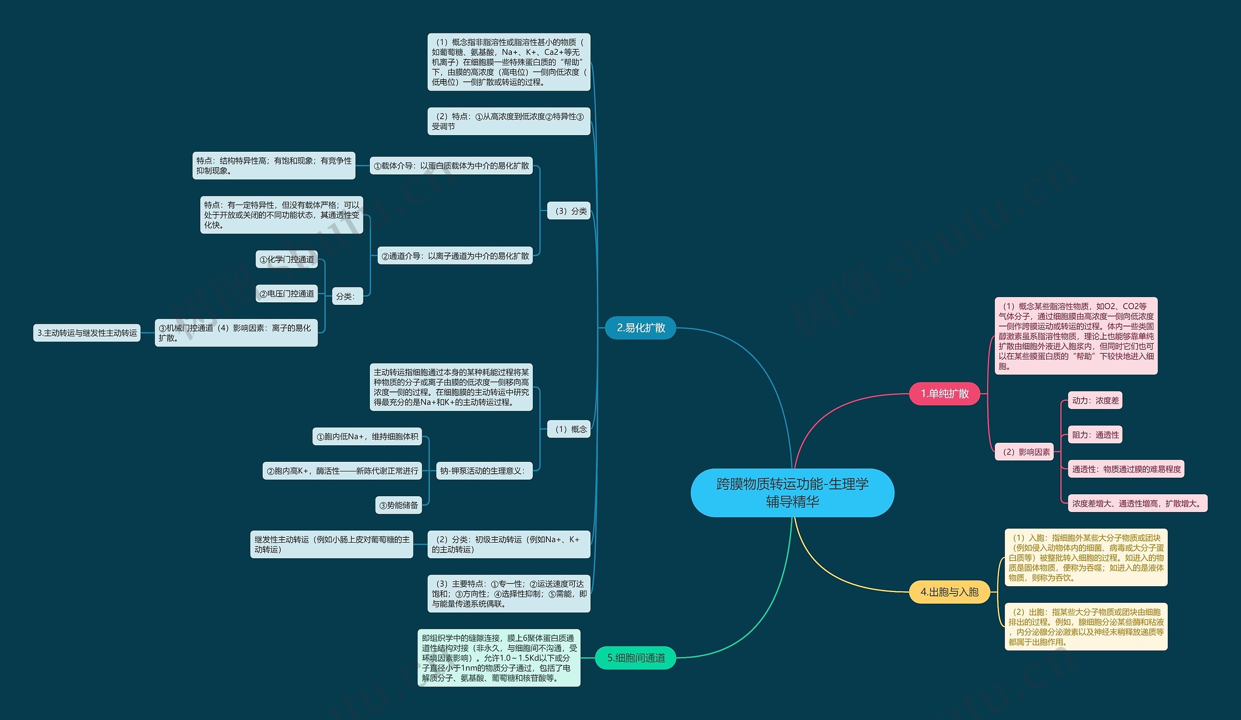 跨膜物质转运功能-生理学辅导精华思维导图