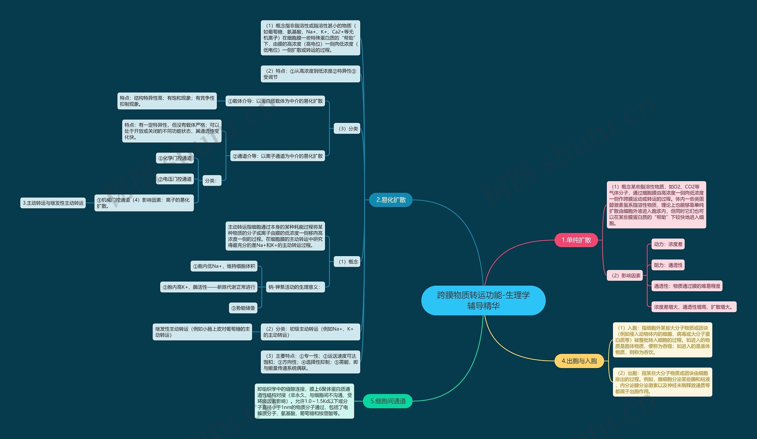 跨膜物质转运功能-生理学辅导精华 跨膜物质转运功能-生理学辅导精华
