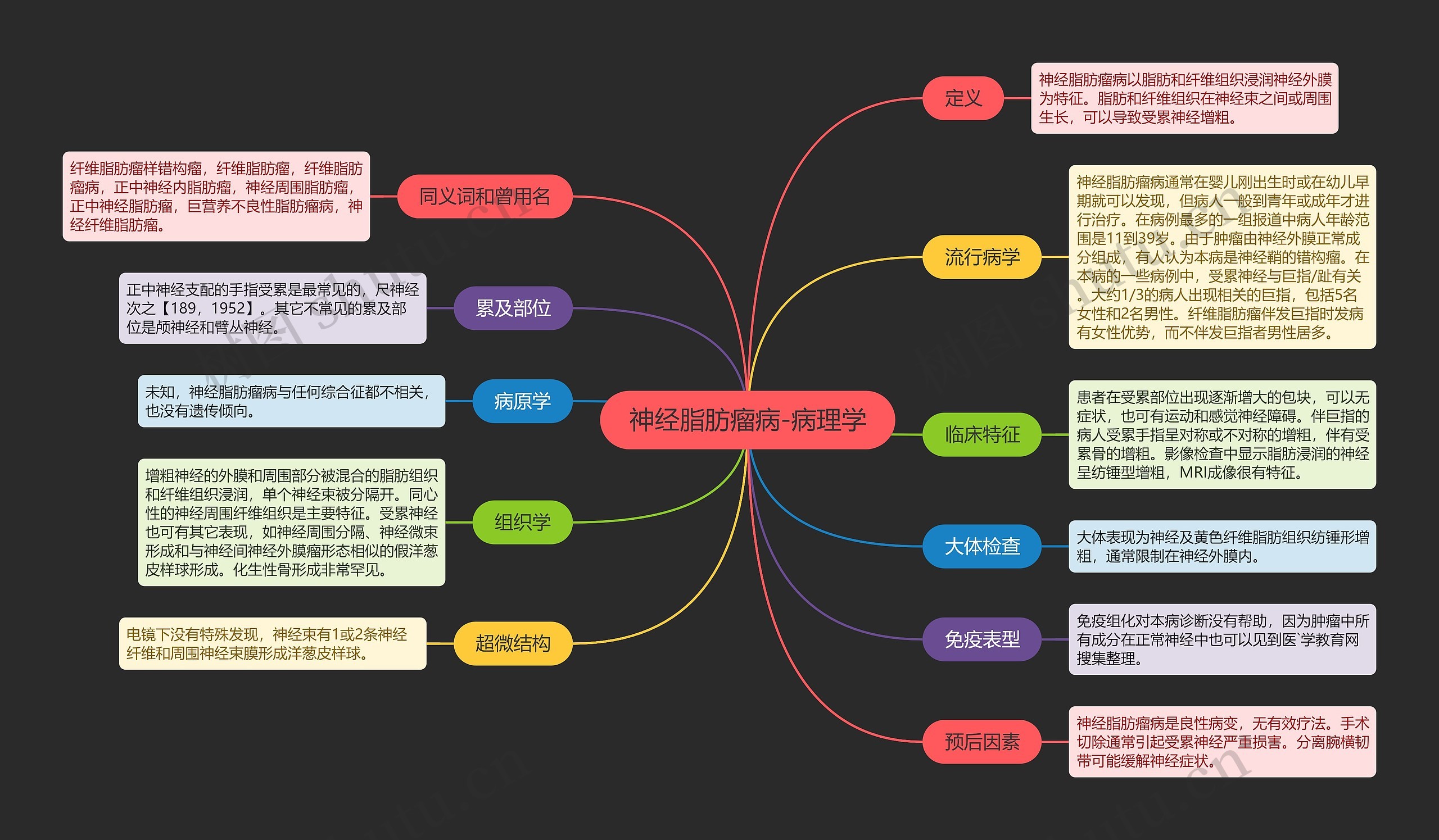 神经脂肪瘤病-病理学思维导图