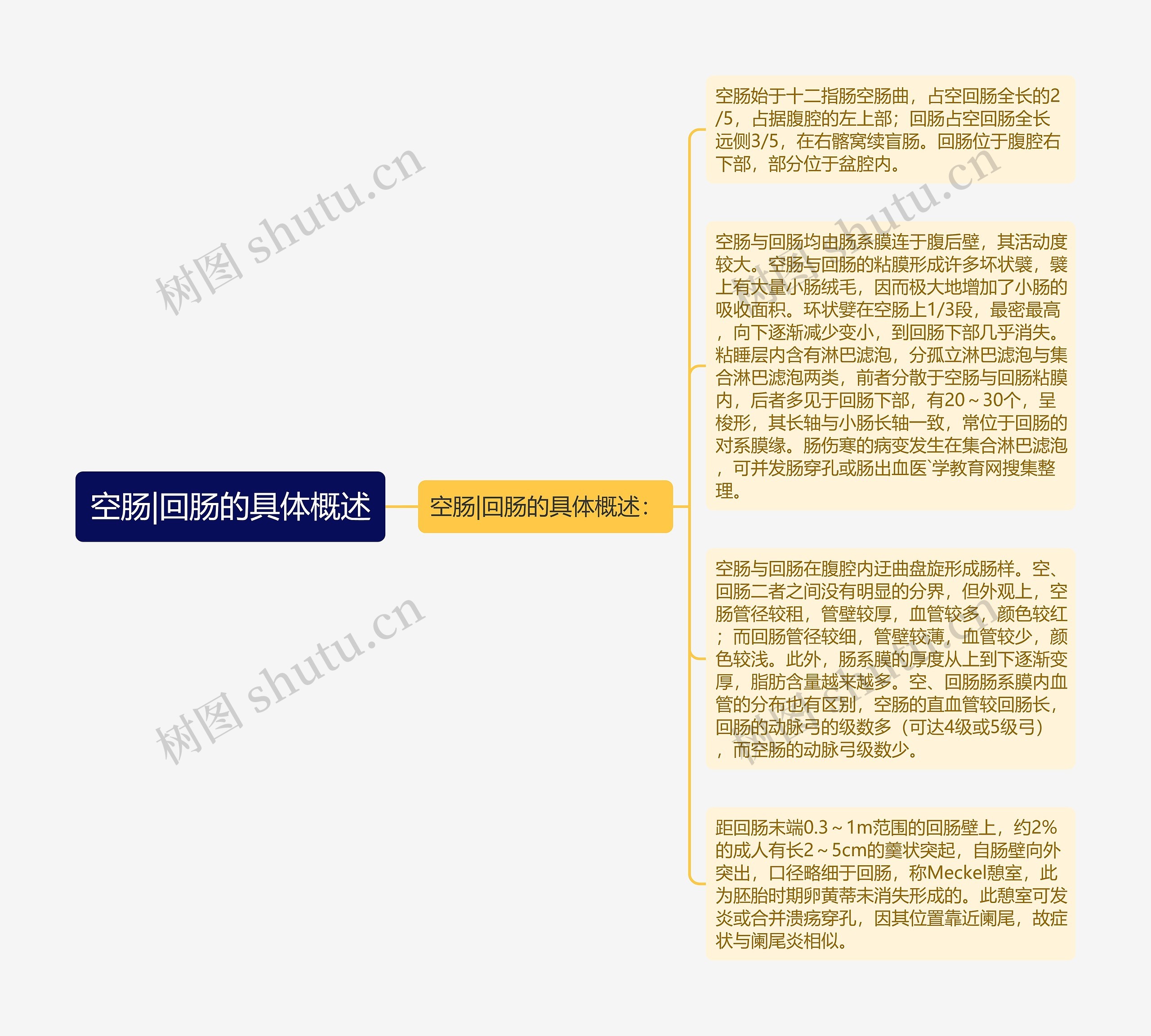 空肠|回肠的具体概述 空肠|回肠的具体概述