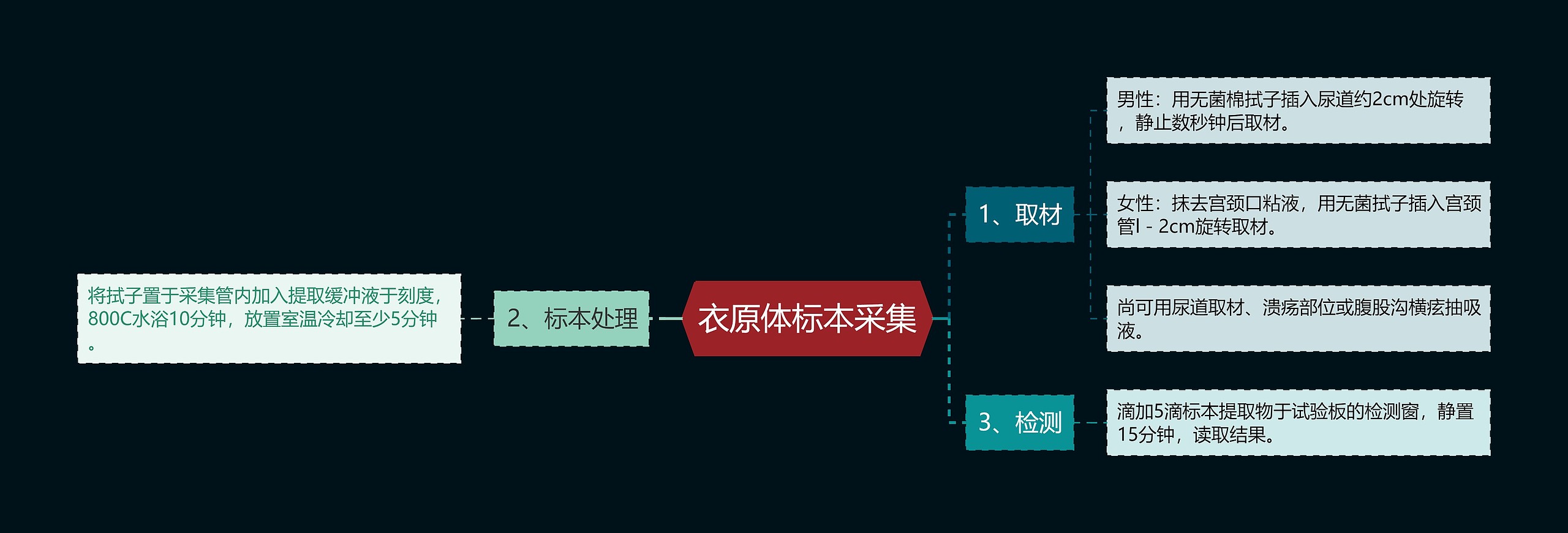 衣原体标本采集思维导图