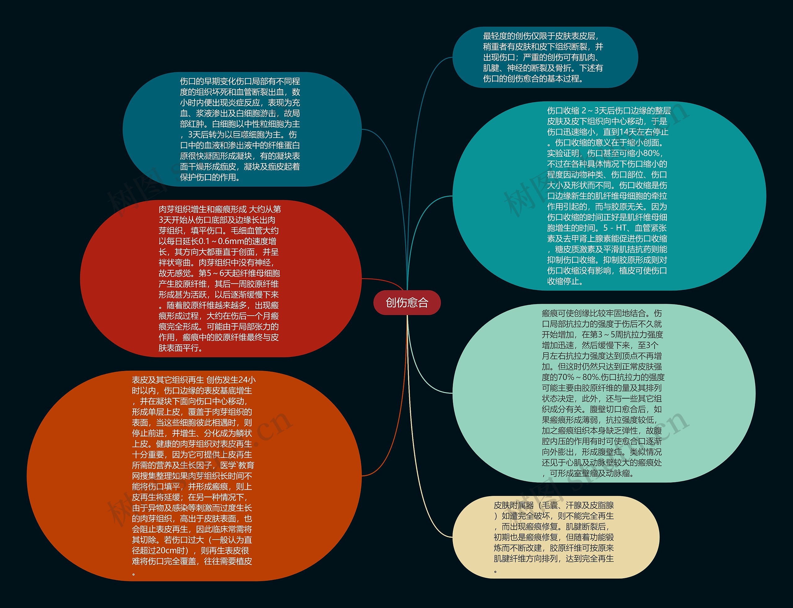 创伤愈合思维导图