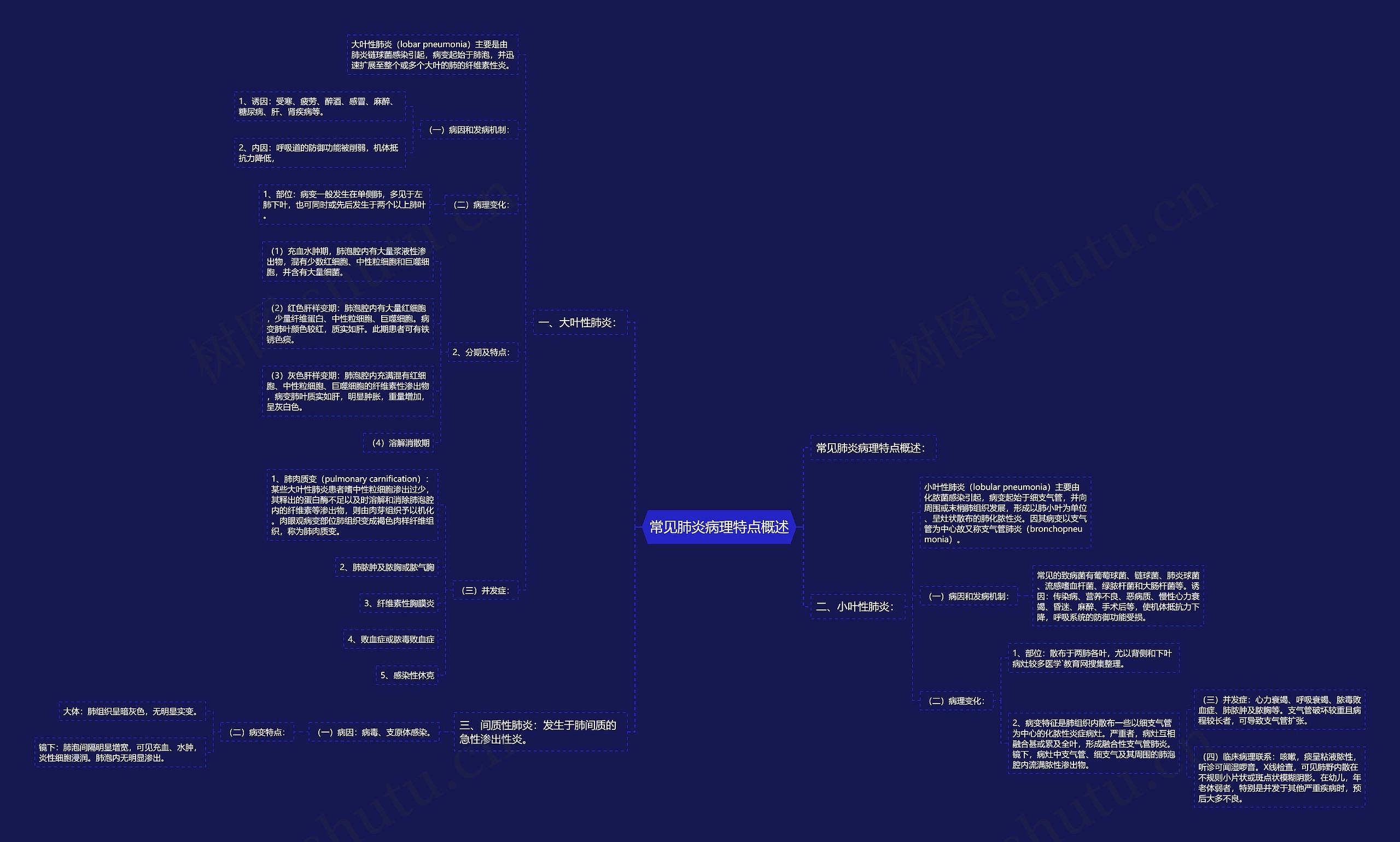 常见肺炎病理特点概述 常见肺炎病理特点概述