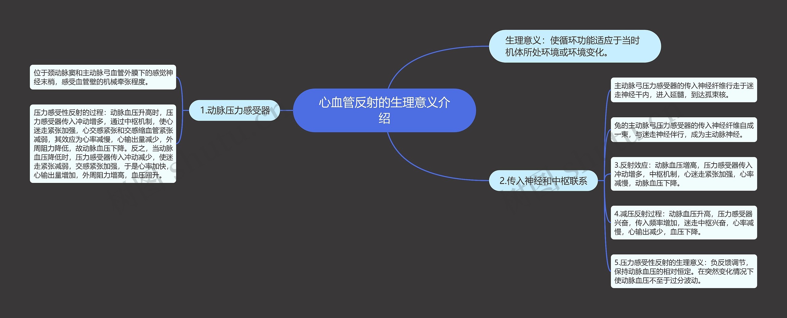 心血管反射的生理意义介绍思维导图