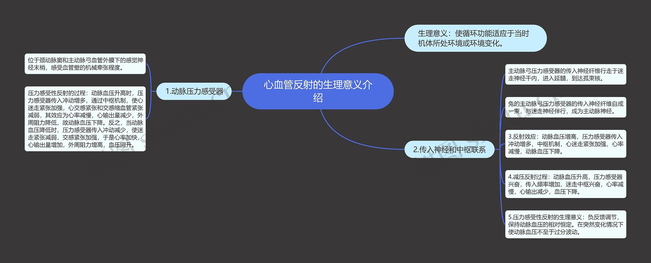 心血管反射的生理意义介绍 心血管反射的生理意义介绍