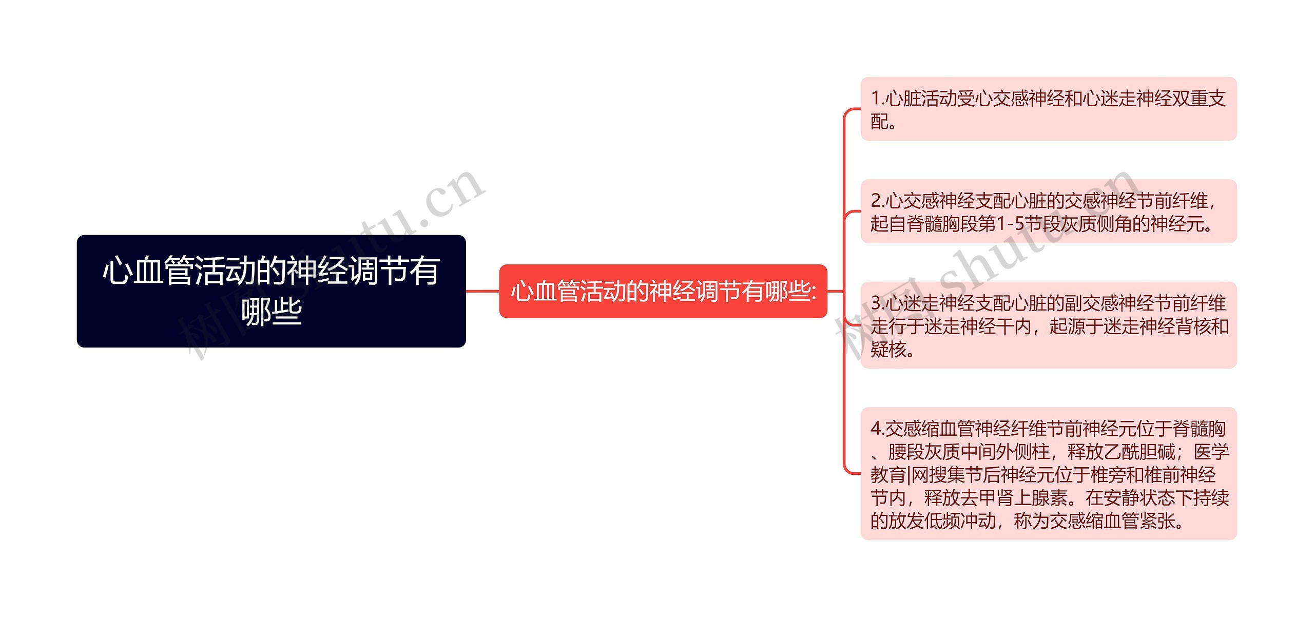 心血管活动的神经调节有哪些思维导图